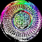 Genosphäre Genosphäre